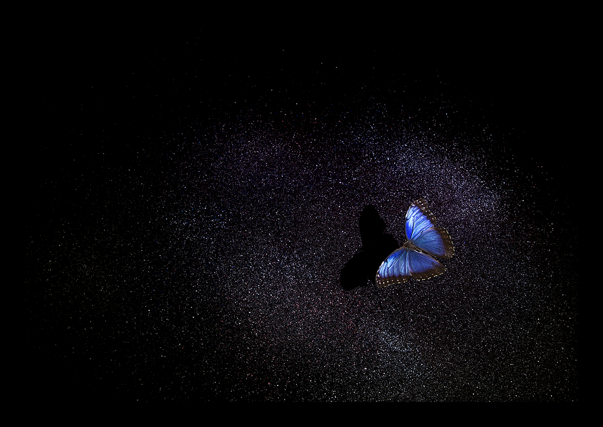 Lord of the Starfields